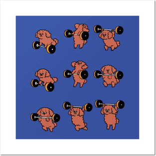 Olympic Lifting Poodle Posters and Art